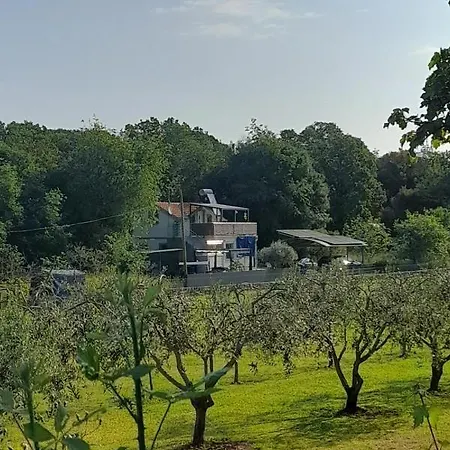 Apartamento Dari *