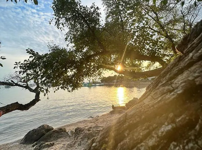 Dari Διαμέρισμα *